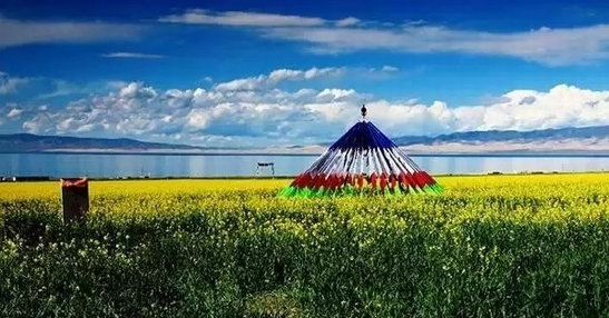 联合收割机复脱器堵塞的原因及排除、、农机技