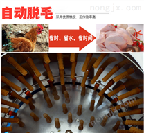 小型全自動(dòng)脫毛機(jī) 飯店拔毛機(jī) 家用家禽全自動(dòng)脫毛機(jī)