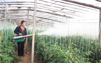 汽油機噴霧器噴霧噴粉機電動噴霧器植保機械園林機械