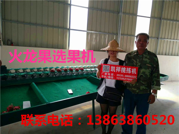火龙果选果机