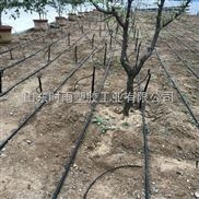 河北滴灌管_内镶扁平式滴头滴灌管 滴灌管型号