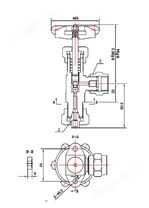 J24W-250T/P角式仪表阀2