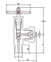 J24W-250T/P角式仪表阀