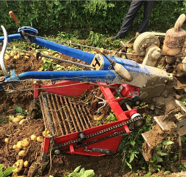 st-0.8红薯挖掘机 收红薯机 红薯回收机价格